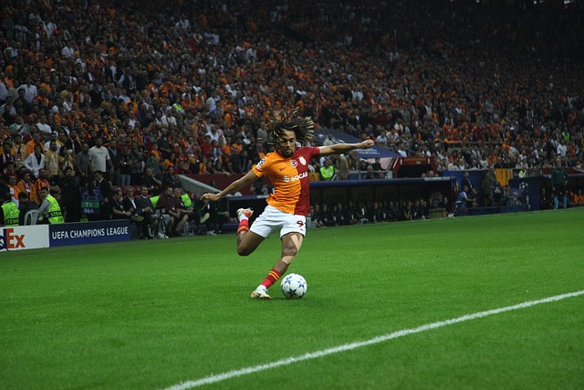 img2.jpg